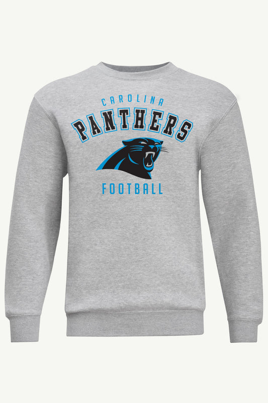 MENS CAROLINA PANTHERS SWEATSHIRT