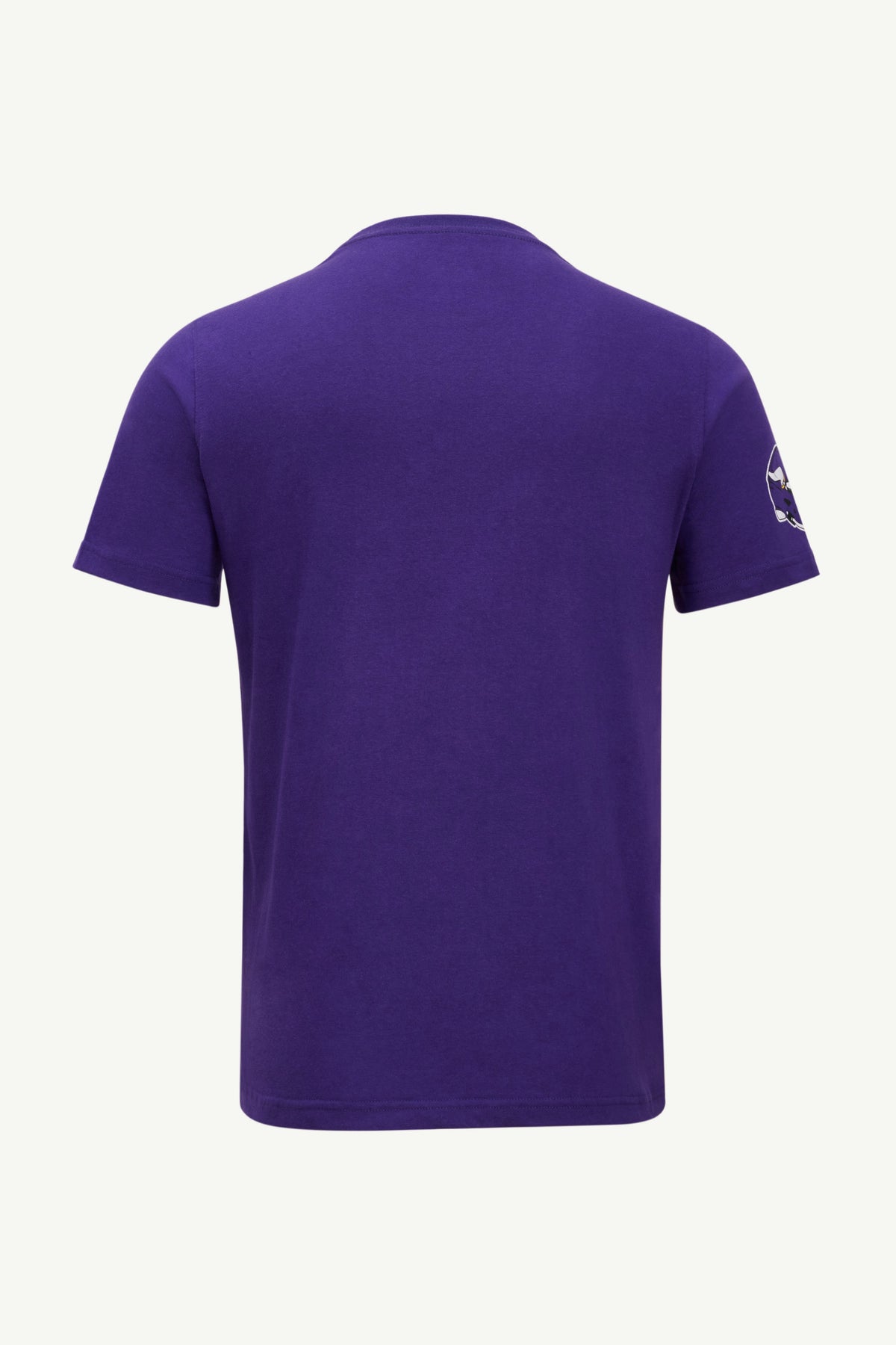MENS MINNESOTA VIKINGS GRAPHIC T SHIRT