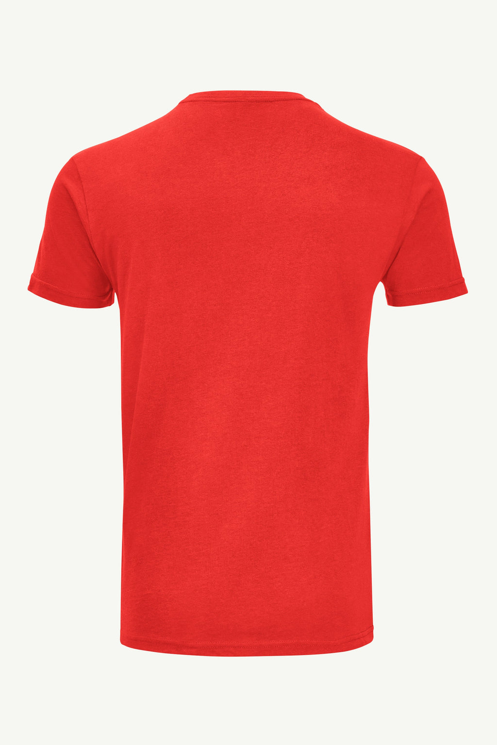 MENS DETROIT REDWINGS GRAPHIC T SHIRT